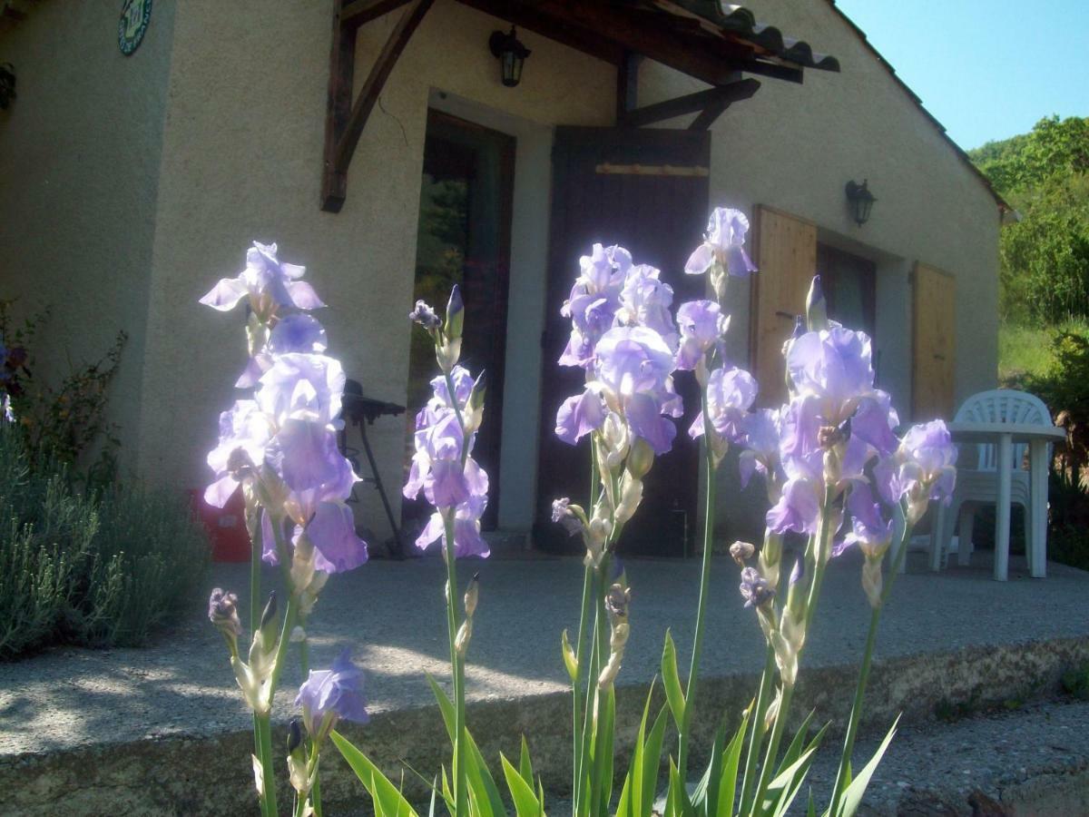 Gite Les Iris La Robine-Sur-Galabre Luaran gambar